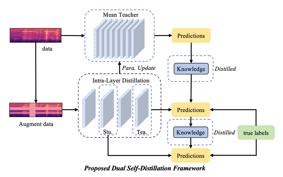 Dual Self-Distillation framework for robust audio tagging